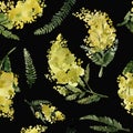 Mimosa, yellow plants, leaves and flowers, seamless pattern, botanical illustration, watercolor
